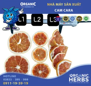 Công Ty Cổ Phần Thực Mỹ Phẩm ORGANICHERBS
