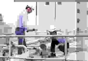 Giám Định Việt Tín – Công Ty Trách Nhiệm Hữu Hạn Giám Định Việt Tín