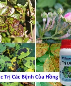 Công Ty TNHH Vi-Farm Việt Nam