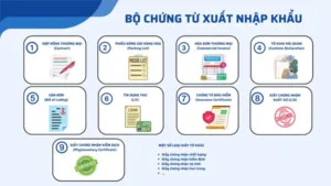 Dịch Vụ Hải Quan DRACO LOGISTICS Việt Nam – Công Ty TNHH DRACO LOGISTICS Việt Nam