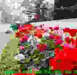 Công Ty Cổ Phần Quản Lý Công Trình Đô Thị Hải Dương