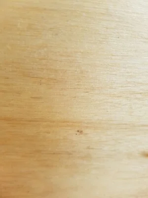 Cơ Sở Ván ép Sài Gòn