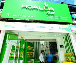 Gạo Hoa Lúa – Công Ty TNHH Thương Mại Gạo Hoa Lúa