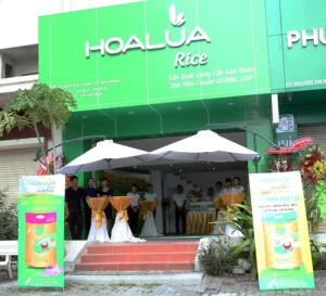 Gạo Hoa Lúa – Công Ty TNHH Thương Mại Gạo Hoa Lúa