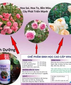 Công Ty TNHH Vi-Farm Việt Nam