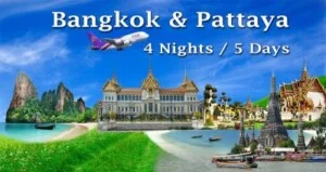 Công Ty TNHH Thương Mại Dịch Vụ Du Lịch Hạnh Dung