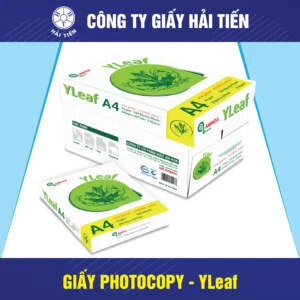 Công Ty Cổ Phần Giấy Hải Tiến