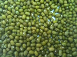 Công Ty Xuất Nhập Khẩu Nông Lâm Sản Và Vật Tư Nông Nghiệp