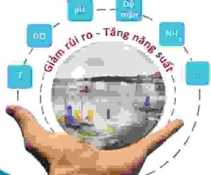 Công Ty Cổ Phần Khoa Học & Công Nghệ Cenintec