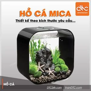 Công Ty TNHH Thương Mại – Dịch Vụ – Quảng Cáo D.T.C