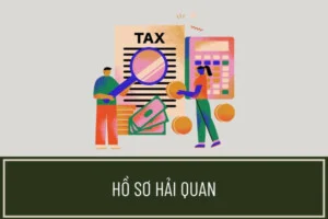 Dịch Vụ Hải Quan DRACO LOGISTICS Việt Nam – Công Ty TNHH DRACO LOGISTICS Việt Nam