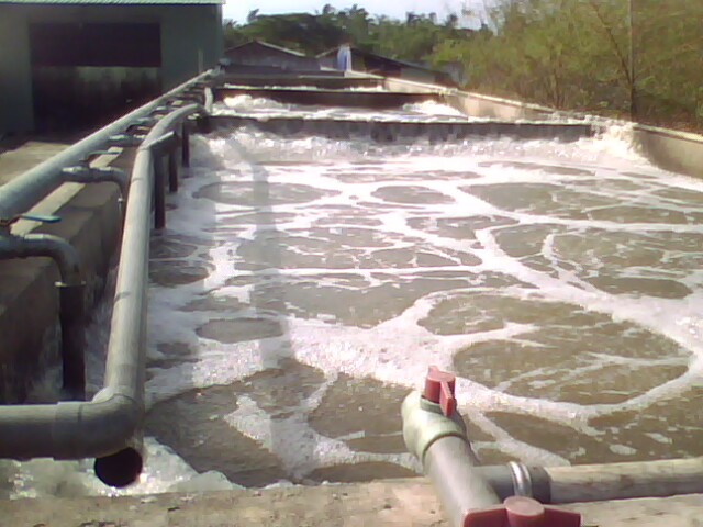 Công Ty TNHH Kỹ Thuật Môi Trường Sông Mã