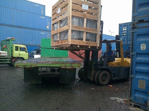 Công Ty TNHH Thương Mại Dịch Vụ Vận Tải Xe Nâng Nguyễn Hùng