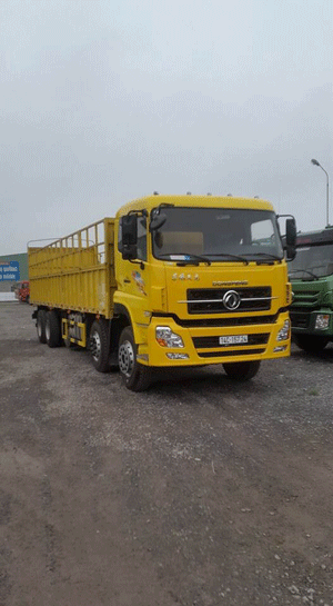 Công Ty TNHH Thương Mại Dịch Vụ Vận Tải Xe Nâng Nguyễn Hùng