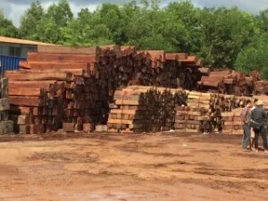 Công Ty TNHH Hoàn Xanh