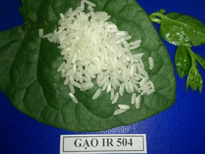 Công Ty Cổ Phần Kim Hưng Hoàn Cầu