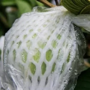 Công Ty TNHH Bao Bì An Khang Bắc Ninh