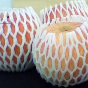 Công Ty TNHH Bao Bì An Khang Bắc Ninh