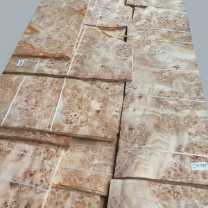 Công ty TNHH Đồ Gỗ Shunfang Jiashan