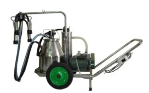 Hiếu Nghĩa Thịnh – Công Ty TNHH Hiếu Nghĩa Thịnh
