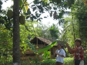 Công Ty TNHH Du Lịch Và Thương Mại Cường Long