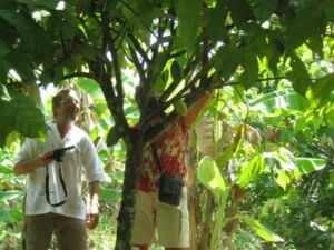 Công Ty TNHH Du Lịch Và Thương Mại Cường Long