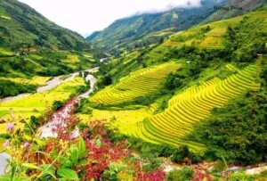 Công Ty TNHH Thương Mại Và Dịch Vụ Du Lịch DHT