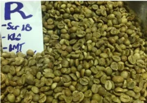 Máy Rang Cà Phê Rio – Công Ty TNHH Máy Rang Cà Phê RIO