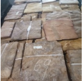 Văn Phòng Giao Dịch Công Ty TNHH Gỗ Song Tiến