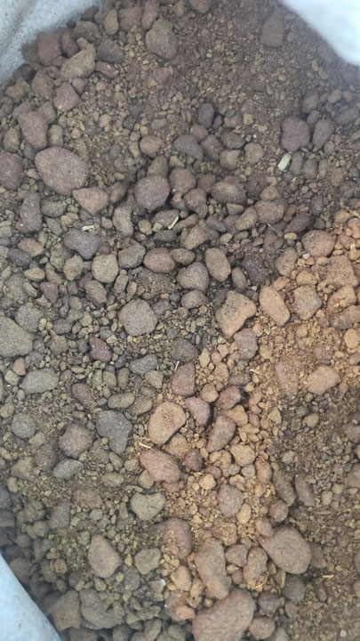 Annam Commodity – Công Ty TNHH Xuất Nhập Khẩu Annam Commodity