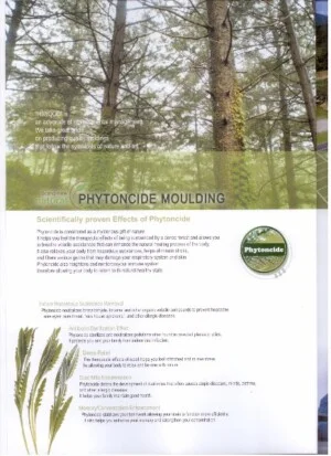 Công Ty TNHH Thương Mại & Đầu Tư XNK Việt – Hàn