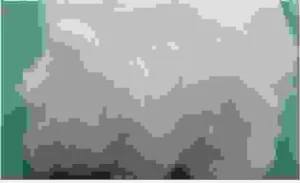 Công Ty Cổ Phần Mirae