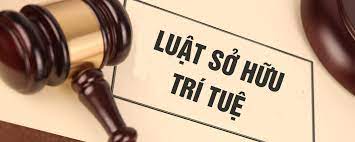 Luật Quốc Tế Đà Nẵng – Công Ty Luật TNHH MTV Quốc Tế Đà Nẵng