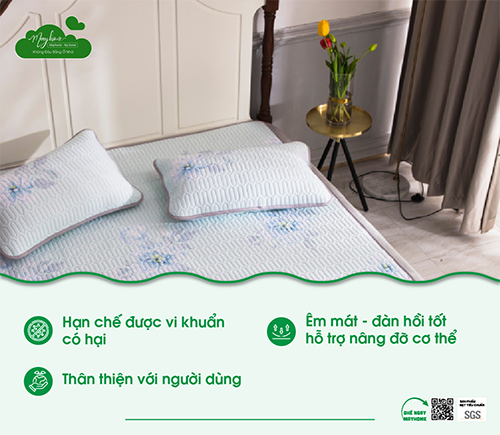 Đệm Gối Cao Su Thiên Nhiên Mayhome – Công Ty TNHH Sản Xuất Thương Mại Phát An Nhiên