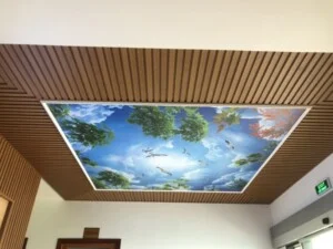 Thi Công Thạch Cao Tấn Phương Long Xuyên – Công Ty TNHH Tấn Phương Long Xuyên