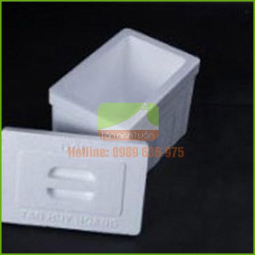 Thùng Xốp Tân Anh Tuấn – Công Ty TNHH Một Thành Viên Tân Anh Tuấn