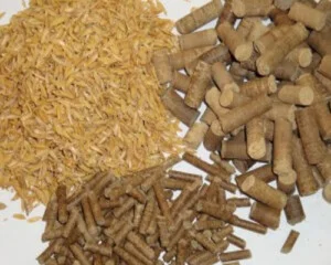 Công Ty TNHH Sản Xuất Và Thương Mại Nhà Việt