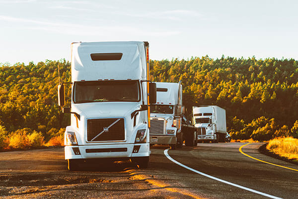 OP Logistics – Công Ty TNHH Ngọc Đại Dương