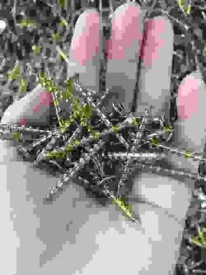 Bánh Xe Đẩy Gia Hưng – Công Ty TNHH MTV Thiết Bị Công Nghiệp Gia Hưng