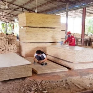 Ván ép VINTEK – Công Ty TNHH Ván ép XNK VINTEK Việt Nam