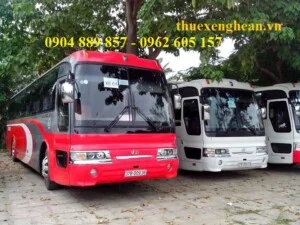 Công Ty TNHH Du Lịch Thương Mại Đất Việt