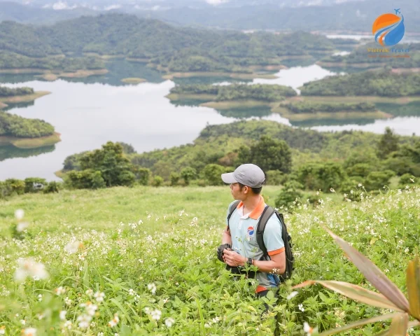 Chi Nhánh Long An – Công Ty TNHH Một Thành Viên Pallet Văn Hải