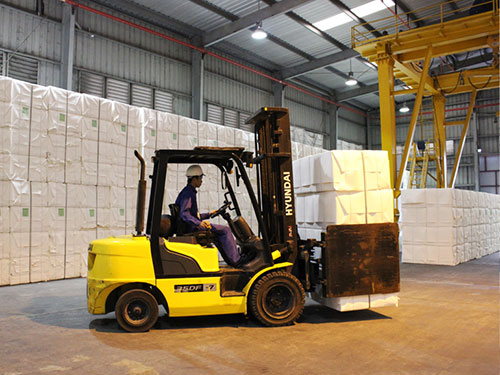 Công Ty Cổ Phần Giấy Trường Xuân