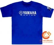 Công Ty TNHH Thương Mại Và Dịch Vụ Châu Bảo