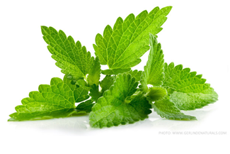 EVODIA Việt Nam – Công Ty TNHH EVODIA Việt Nam