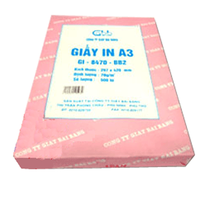 Chi Nhánh Công Ty TNHH Thương Mại Và Dịch Vụ Sang Hà Tại Bình Dương