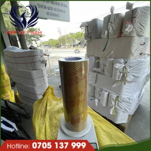 Công Ty TNHH Sản Xuất Thương Mại Dịch Vụ PVP Việt Nam