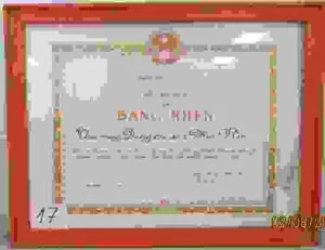 Công Ty Cổ Phần Dụng Cụ Số 1