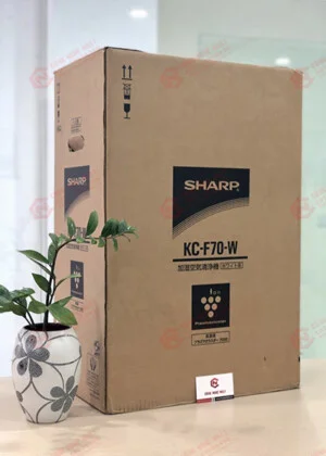 Bản In Polymer Hợp Tiến Phát – Công Ty TNHH SX – TM – DV Hợp Tiến Phát