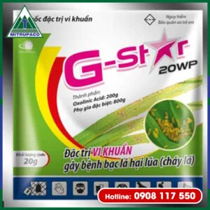 Bao Bì Miền Trung – Công Ty TNHH Bao Bì Nhựa Miền Trung